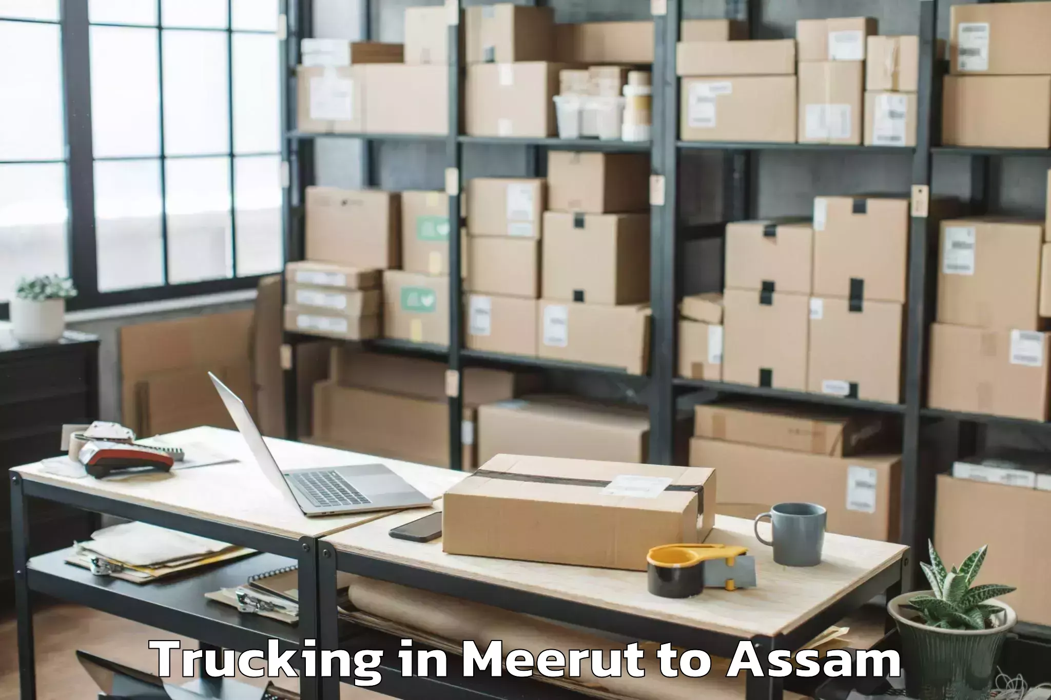 Efficient Meerut to Mayong Trucking